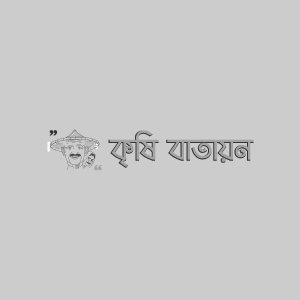 আমলকির স্কেল পোকা