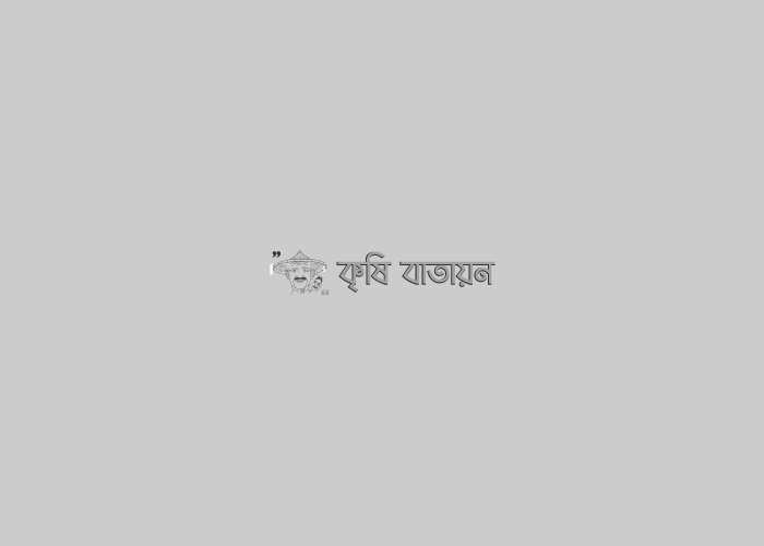 চালতার আচার